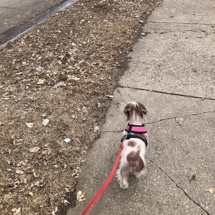 Margie D thumbnail 2