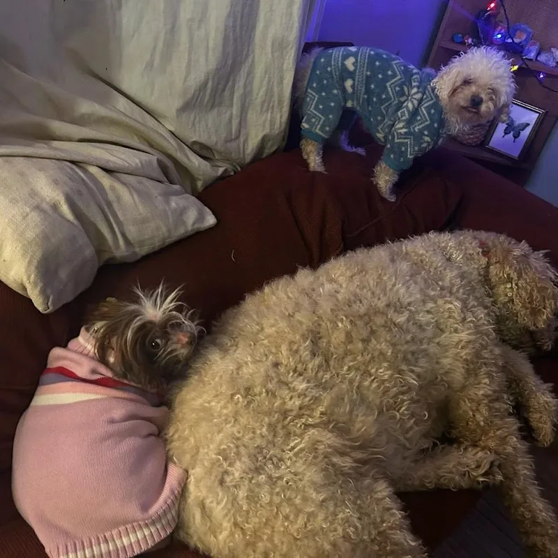 Margie D thumbnail 3