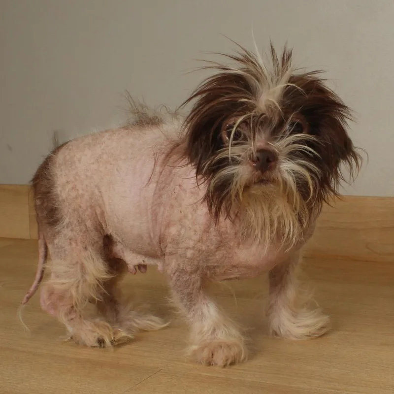 Margie D thumbnail 4