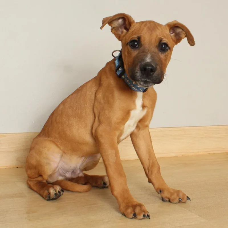 Shaggy D thumbnail 2