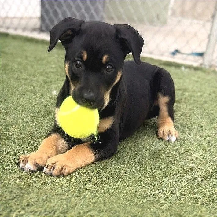 Shannon D thumbnail 2