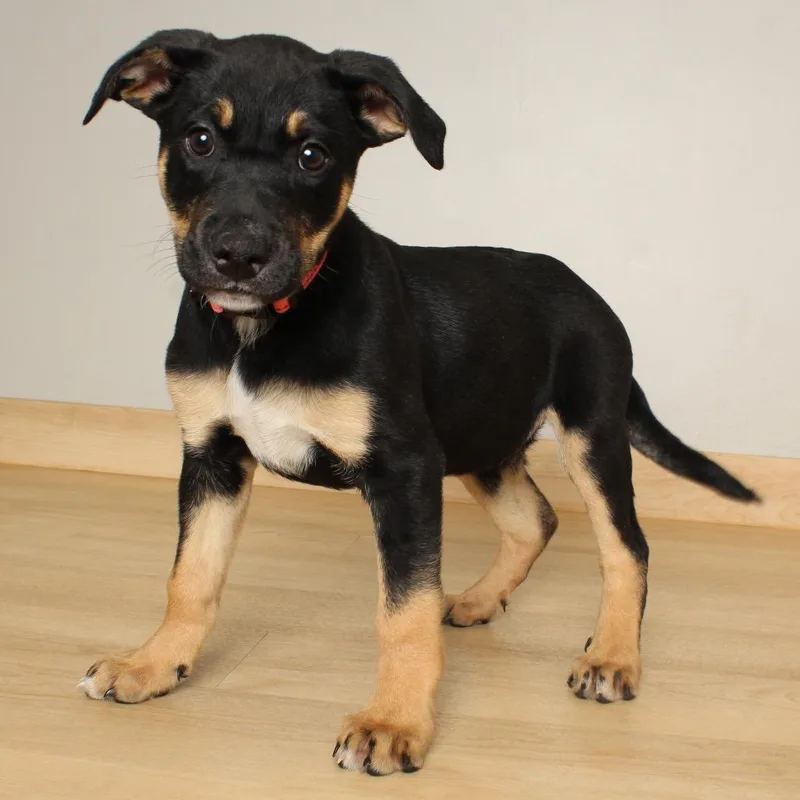 Shannon D thumbnail 3