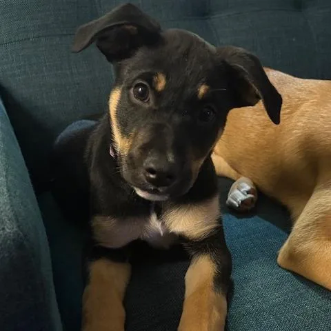 Shannon D thumbnail 4