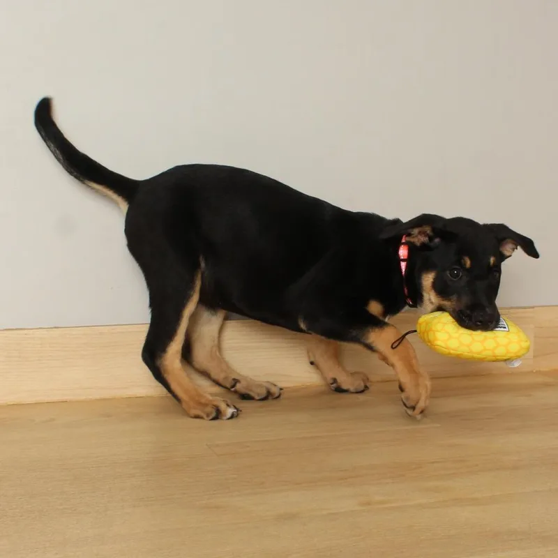 Shannon D thumbnail 6