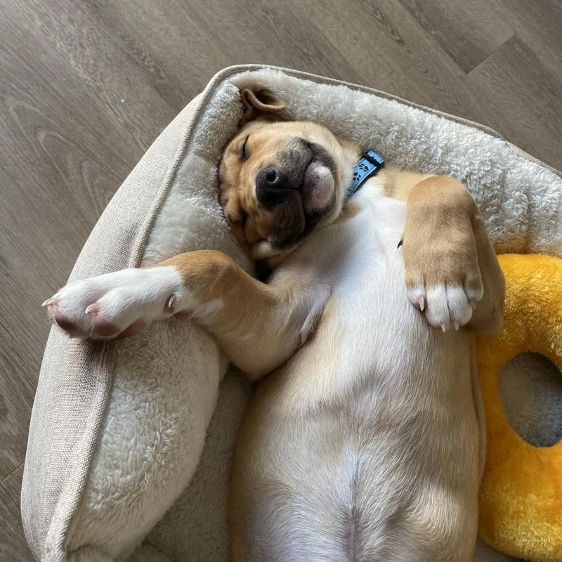 Connor D thumbnail 2