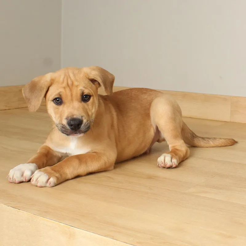 Connor D thumbnail 3