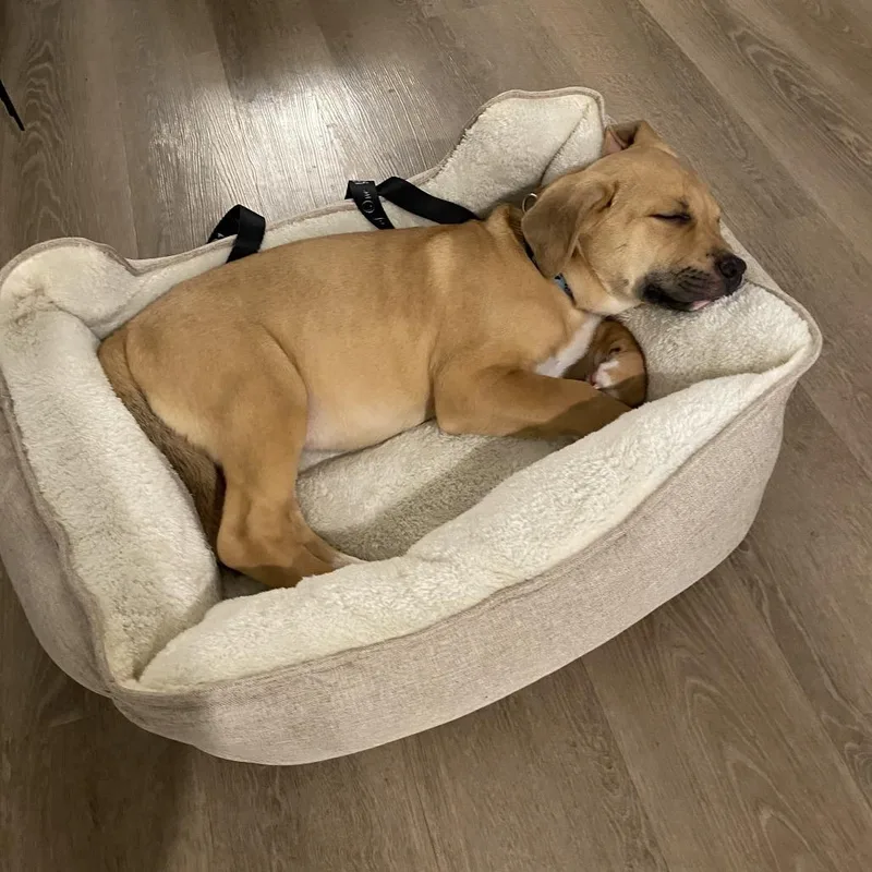 Connor D thumbnail 4