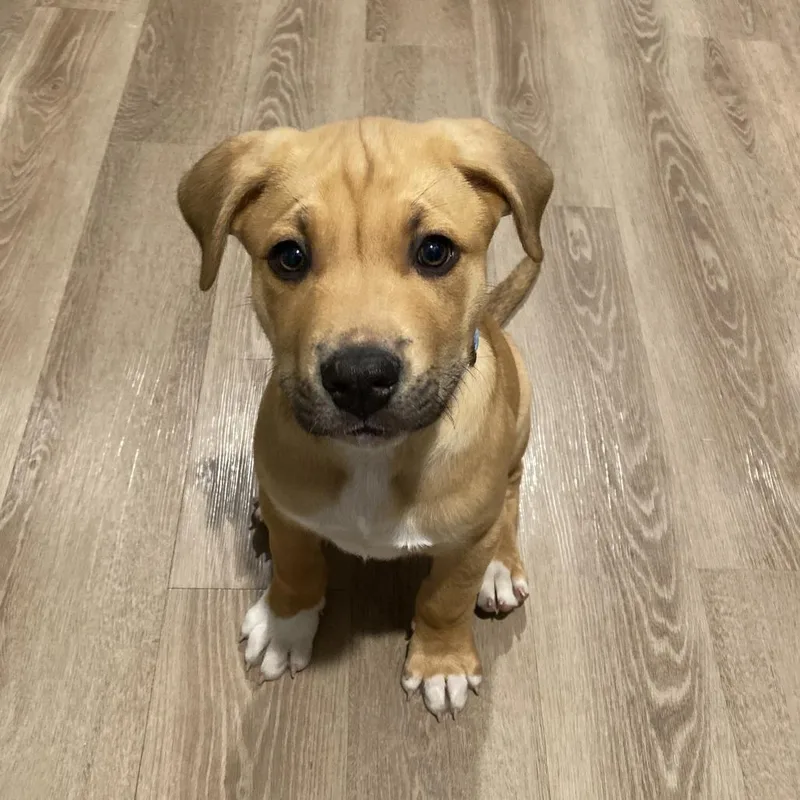 Connor D thumbnail 5