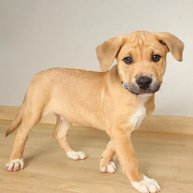 Connor D thumbnail 6