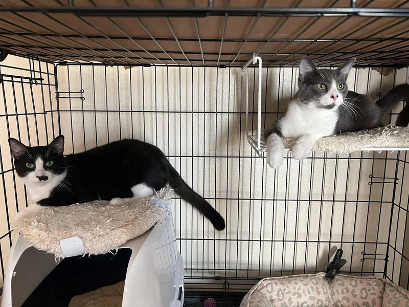 Mia  Booger And thumbnail 2