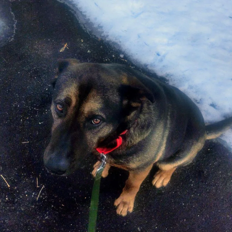 Princess thumbnail 3