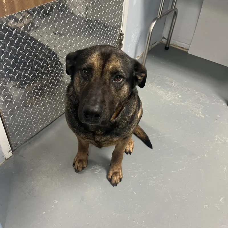 Princess thumbnail 4