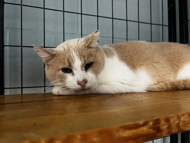 Jack Clawford thumbnail 2