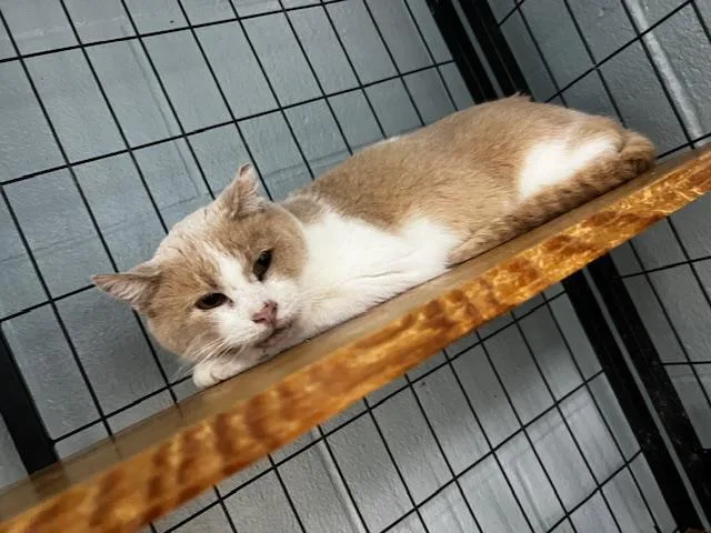 Jack Clawford thumbnail 3