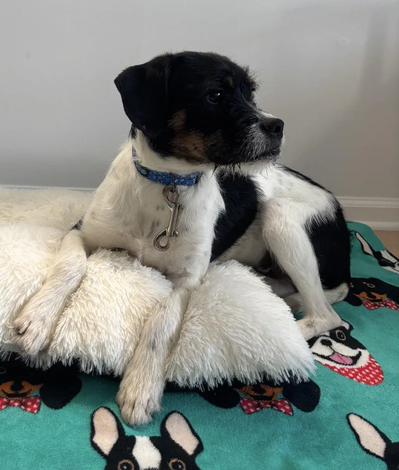 Max Extremely Sweet And thumbnail 2