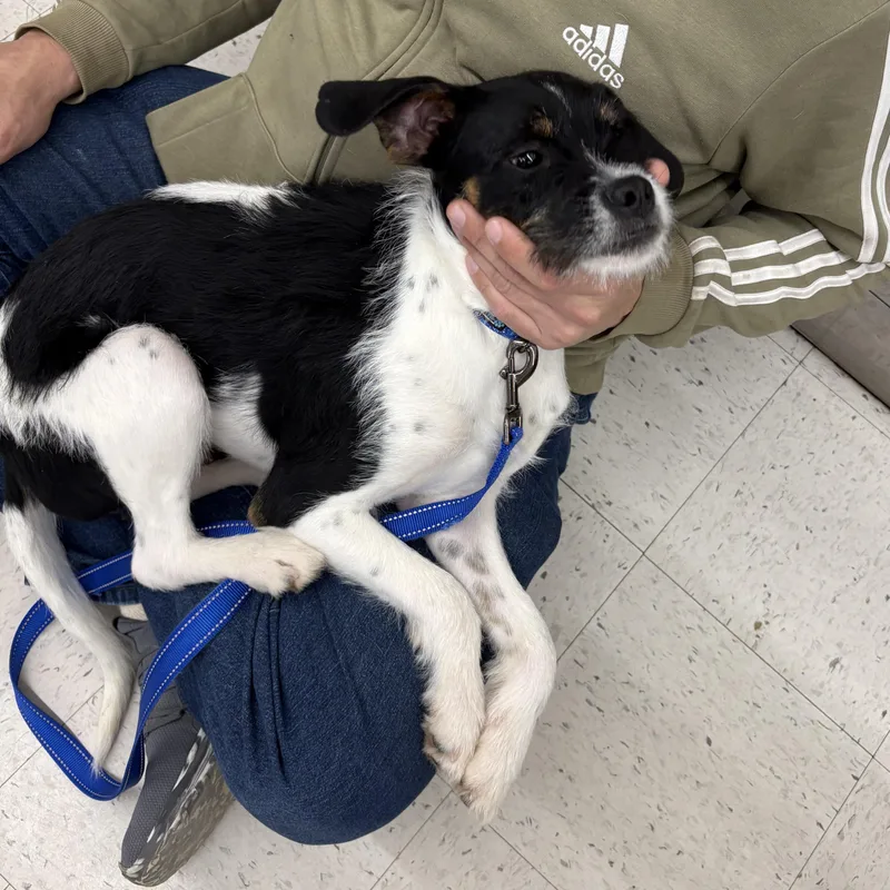 Max Extremely Sweet And thumbnail 3