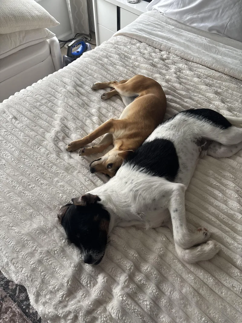 Max Extremely Sweet And thumbnail 5