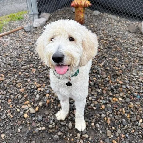 Will Ferrell thumbnail 6