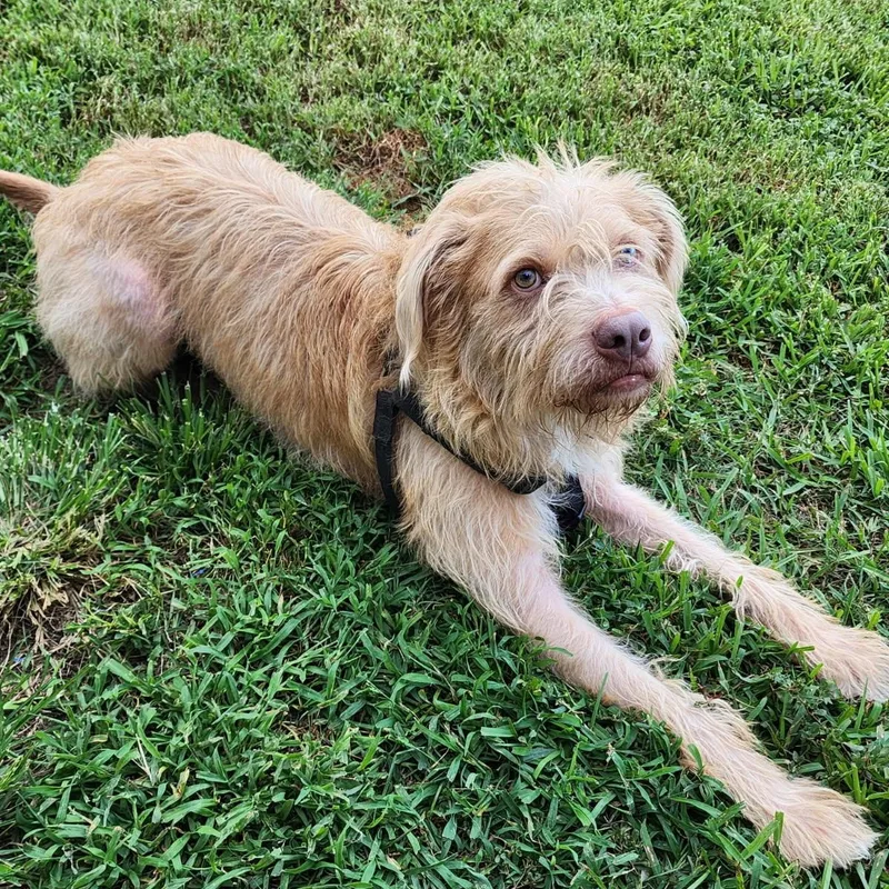 Archabald thumbnail 2