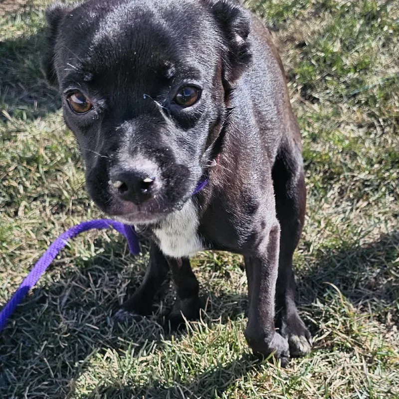 Betty Jo thumbnail 2