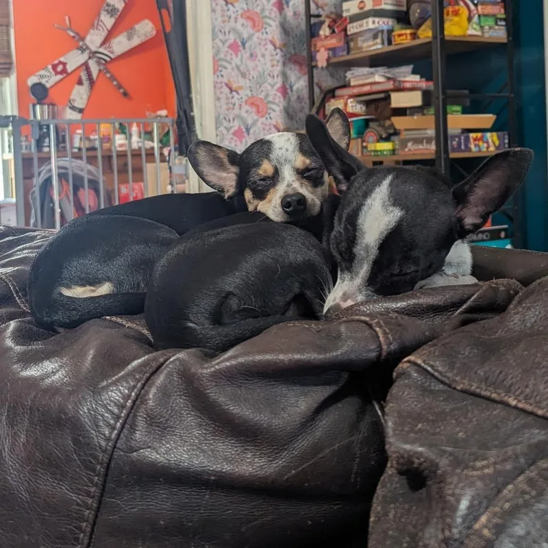 Sweetie Pie thumbnail 3