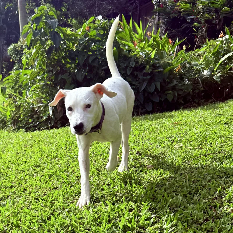 Meet Hannah — The thumbnail 2