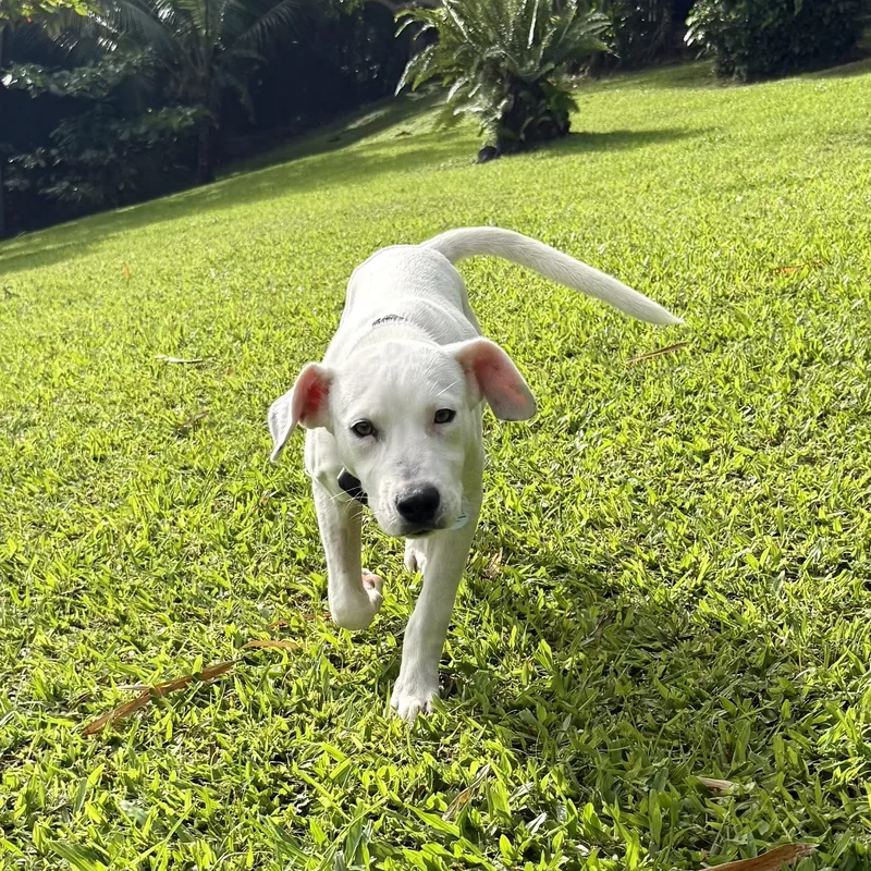 Meet Hannah — The thumbnail 3