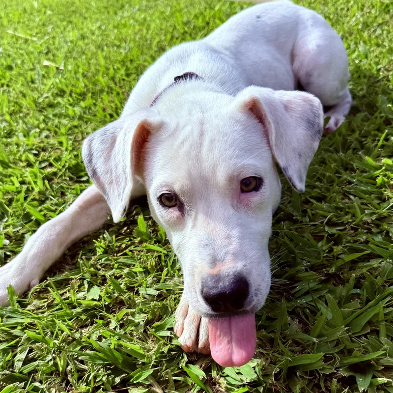 Meet Hannah — The thumbnail 4