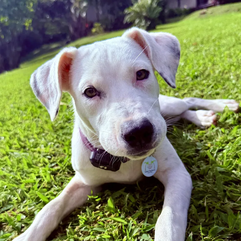 Meet Hannah — The thumbnail 5