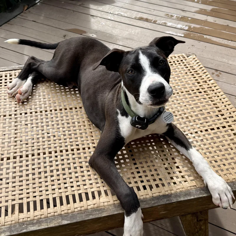 Kevin — The Lover thumbnail 2