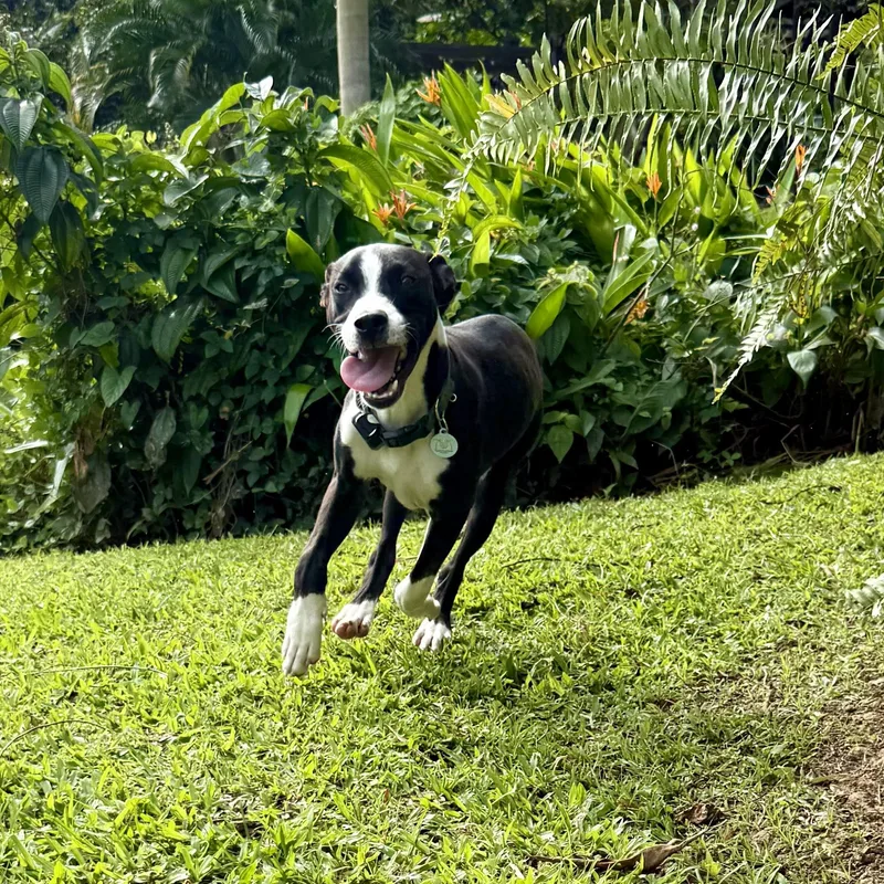 Kevin — The Lover thumbnail 3