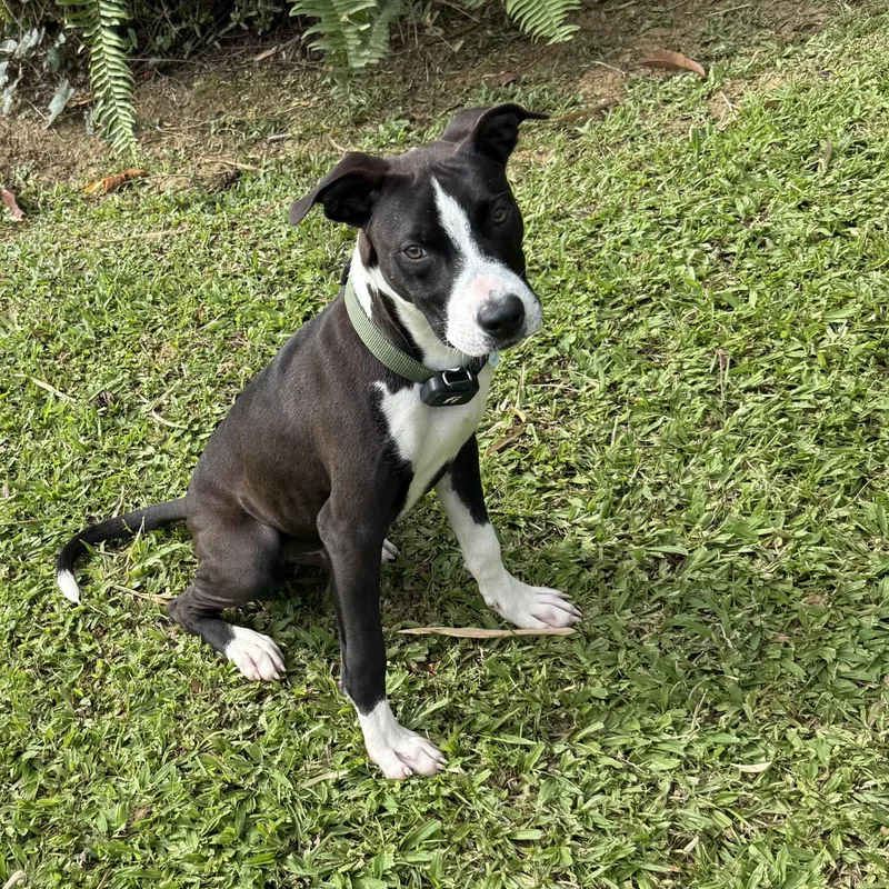 Kevin — The Lover thumbnail 4