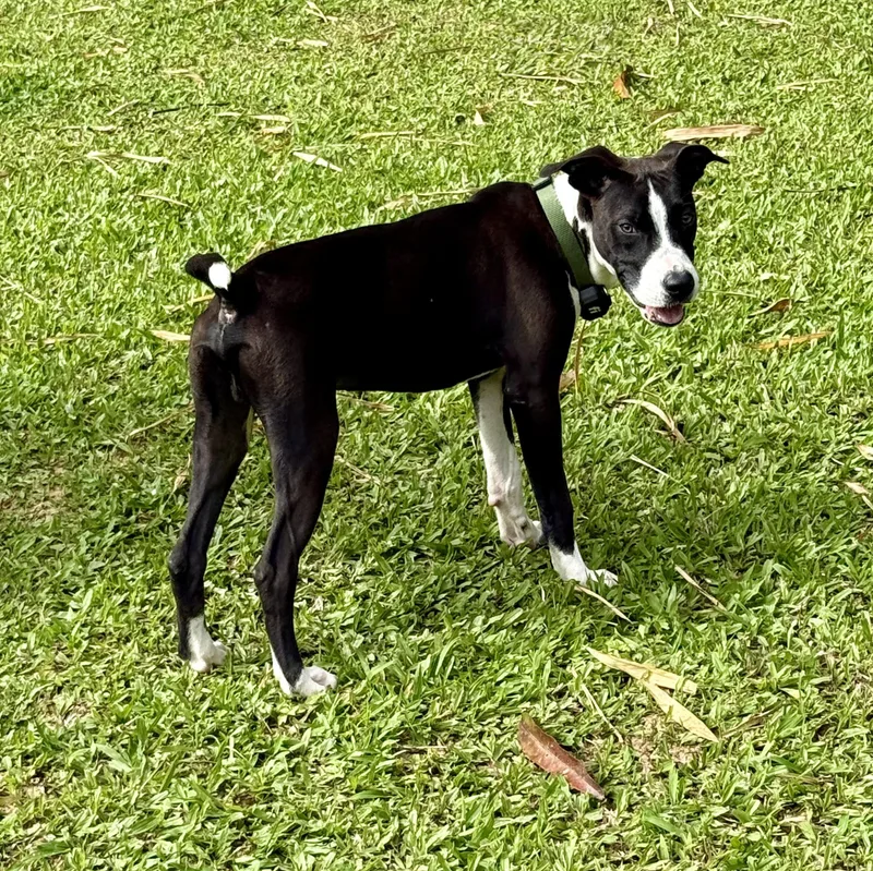 Kevin — The Lover thumbnail 5