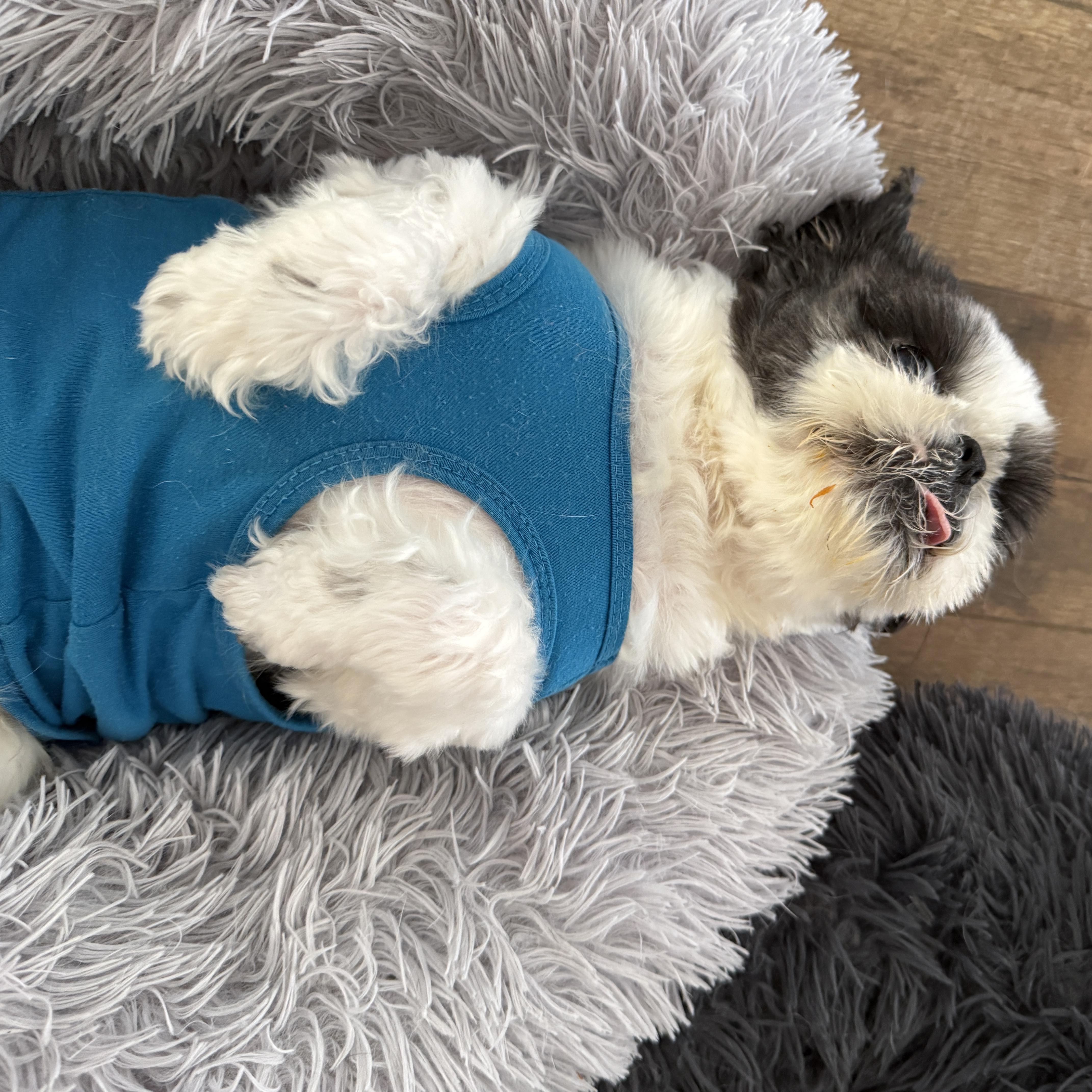 Charlotte thumbnail 4