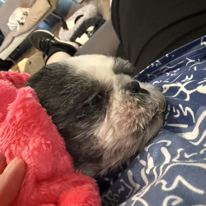 Charlotte thumbnail 5