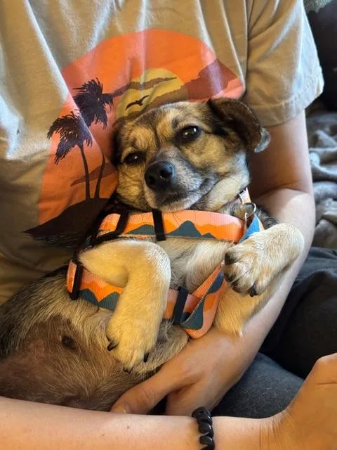 Princess thumbnail 2