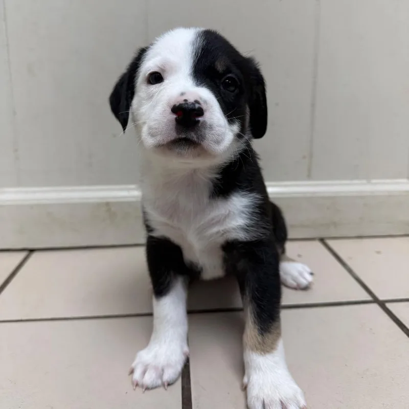 Georgieann thumbnail 2