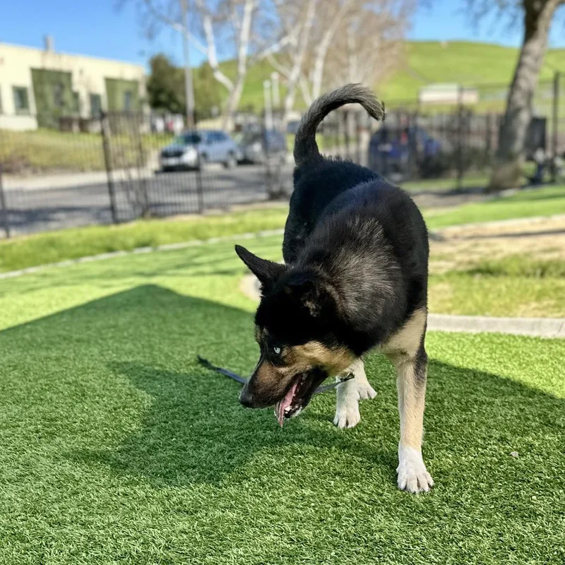 June  Ecas thumbnail 2