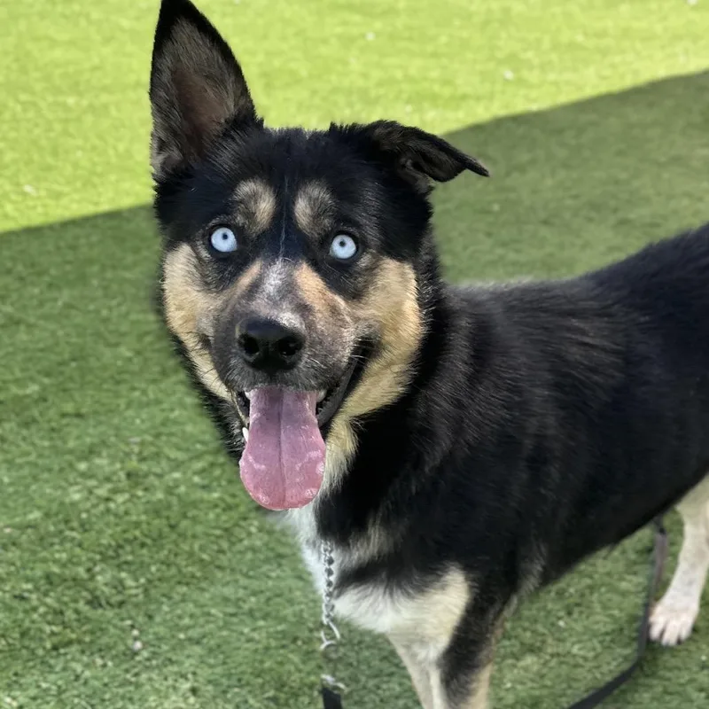 June  Ecas thumbnail 3