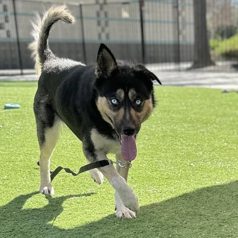 June  Ecas thumbnail 4