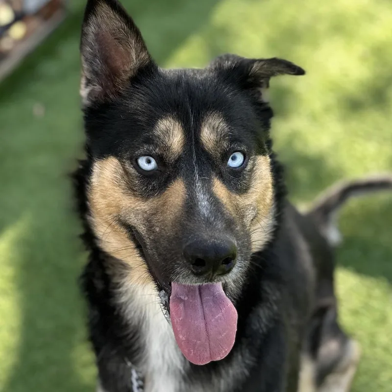 June  Ecas thumbnail 5