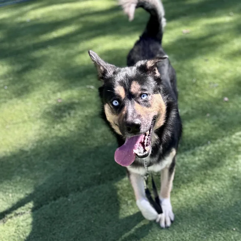 June  Ecas thumbnail 6