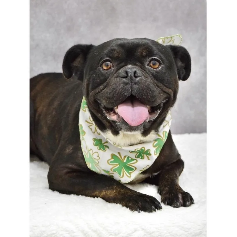 Johnny  Ecas thumbnail 2