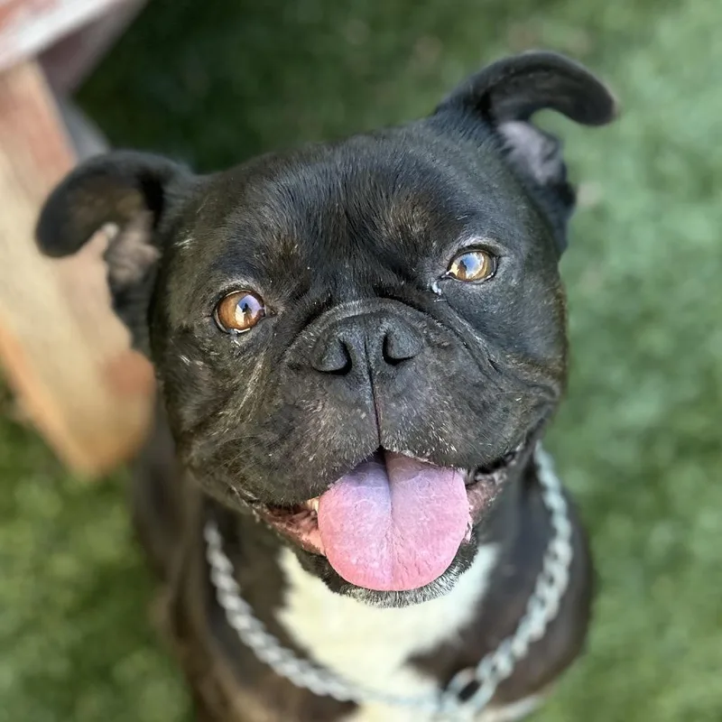 Johnny  Ecas thumbnail 3