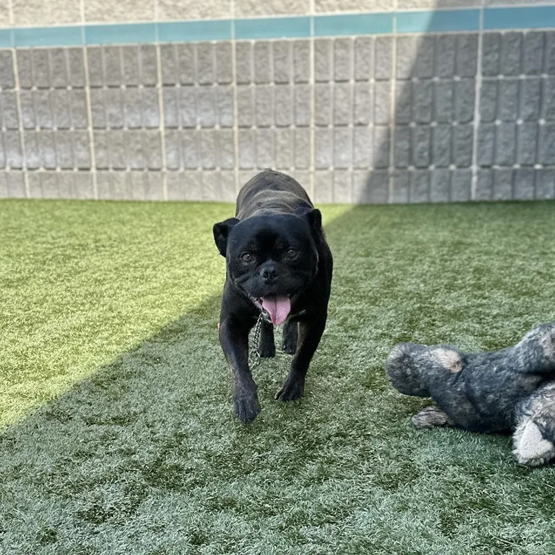 Johnny  Ecas thumbnail 5