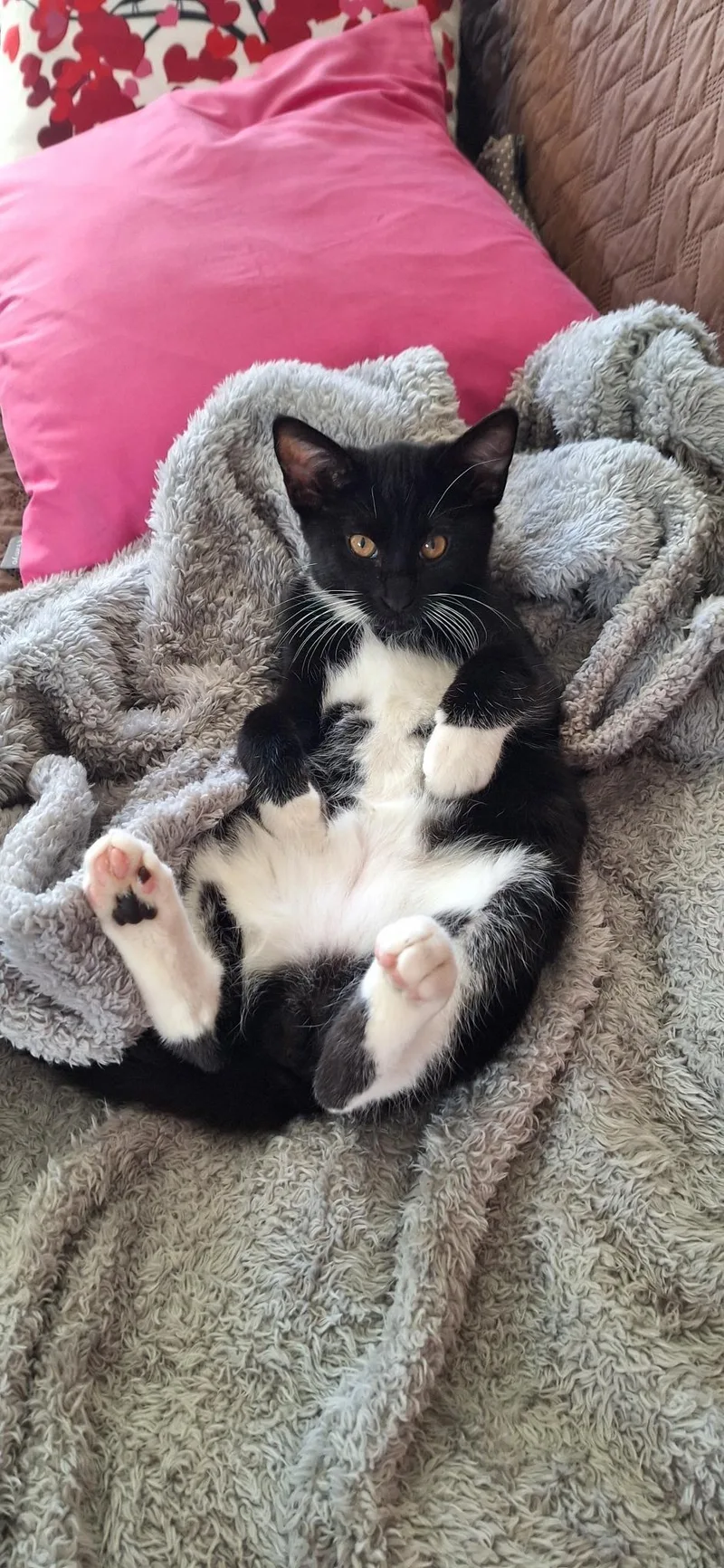 Mick Mars thumbnail 4