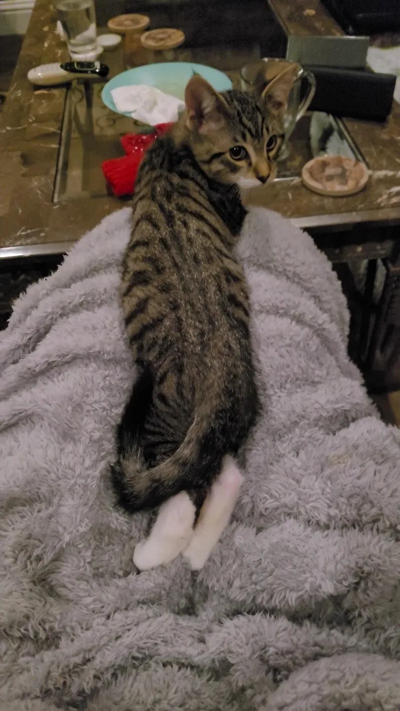 Vince Neil thumbnail 3