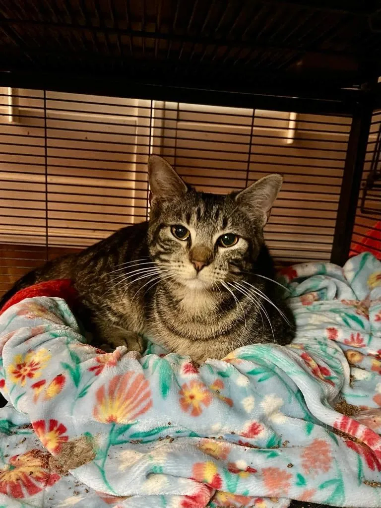 Ella Bella thumbnail 2