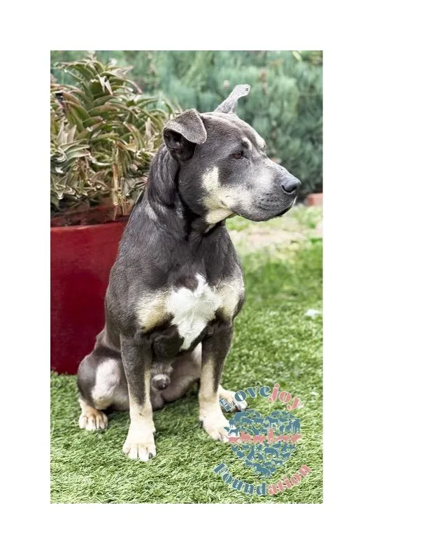 Jeffrey Coh thumbnail 2