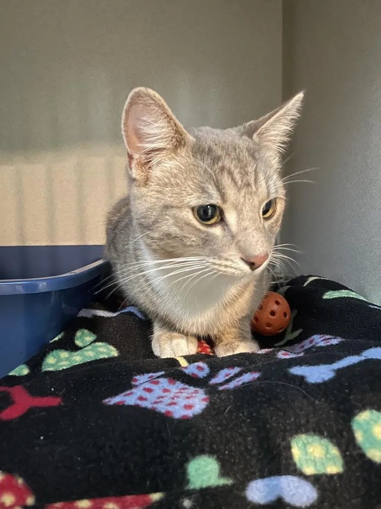 Trader Jane thumbnail 2